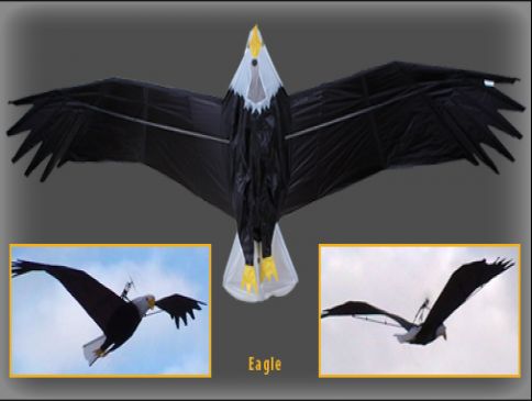 Premier RC Kites Eagle Kit with ARF Generation II Power Unit ...